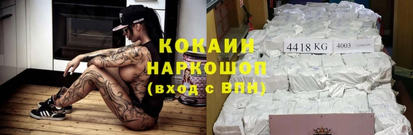 гидра Бородино