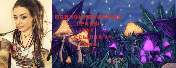 гидра Бородино