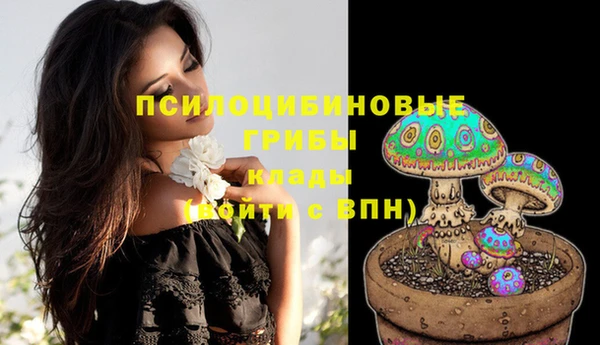 стафф Бронницы