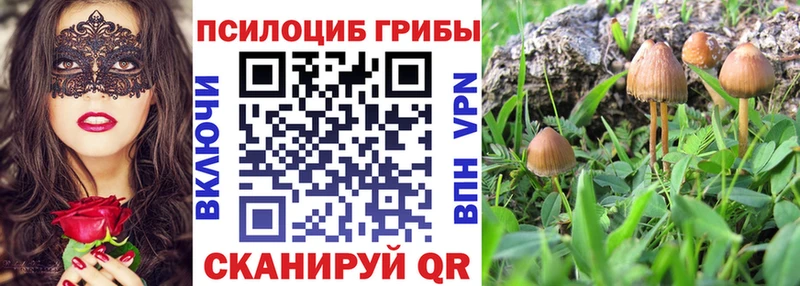 Псилоцибиновые грибы ЛСД  Пенза 