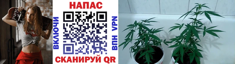 Канабис LSD WEED Пенза